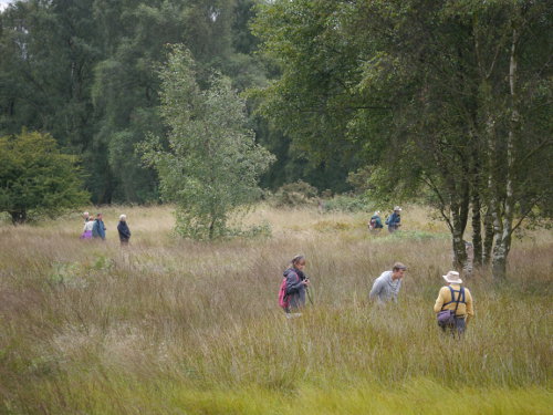 Group at Cannock Chase 2014