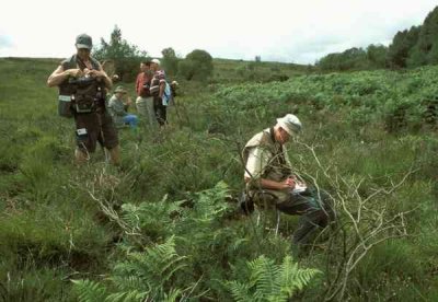 Catherton Common, Members