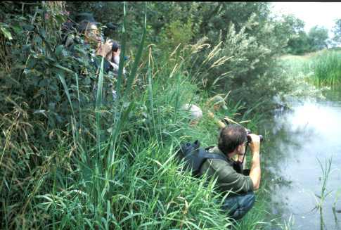 Group at Swift Valley