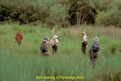 WDG at Parsonage Moor