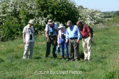 WDG at Wolfhamcote