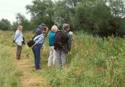 Group at Eckington