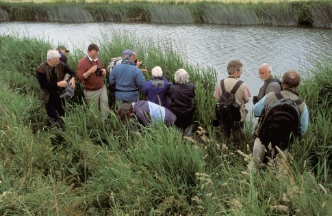 Eckington group with Clubtail